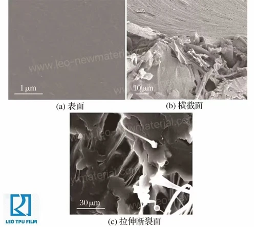High-moisture-permeability TPU film: the upgraded choice for functional compo...